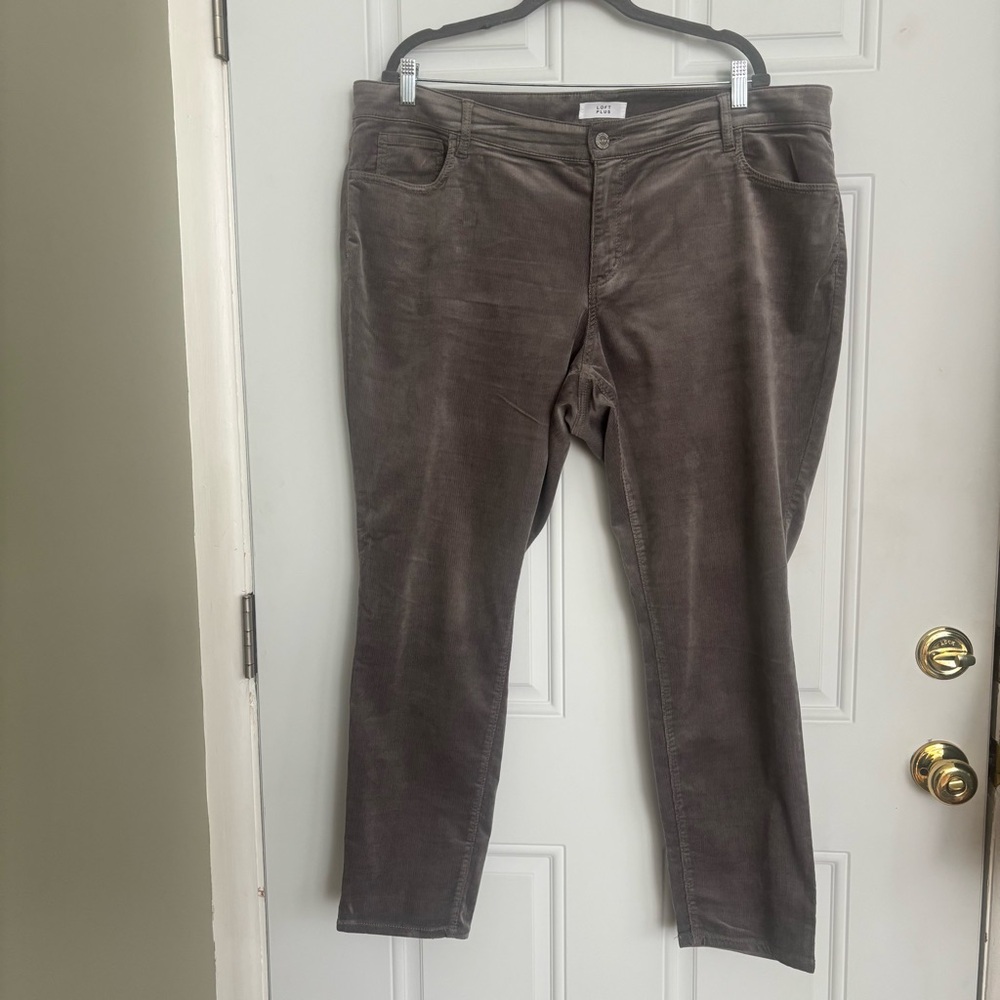 LOFT Women's Charcoal Grey Skinny Leg Corduroy Pants, Size 20